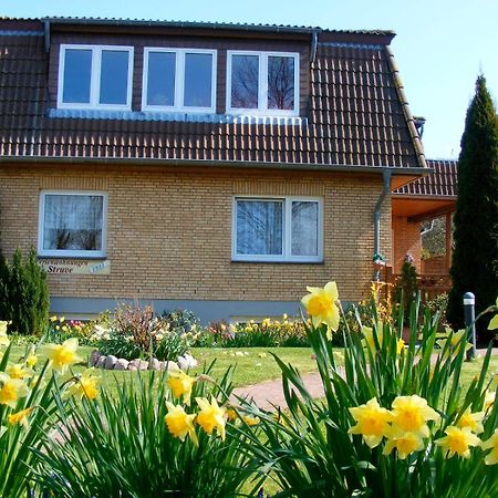 Ferienwohnung Struve Nr 2 Petersdorf auf Fehmarn ภายนอก รูปภาพ